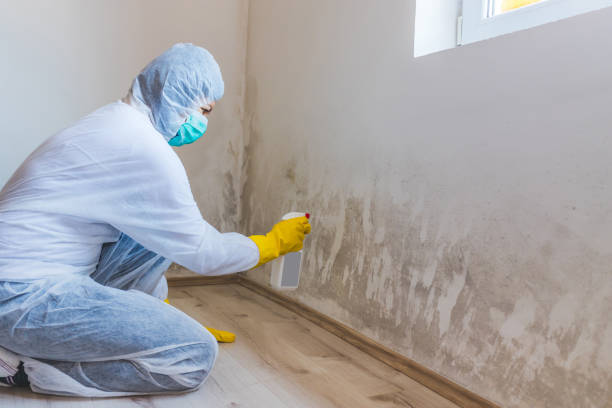 Mold Remediation specialist working in Bel Air
